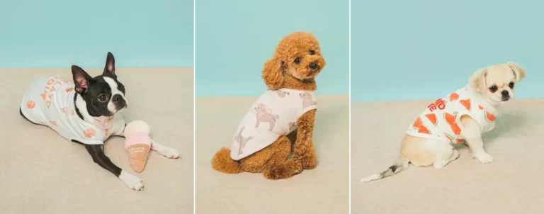 18505 2007 346e7b532133b0816d87fe9cdebdf5e6 1400x550 1 768x302