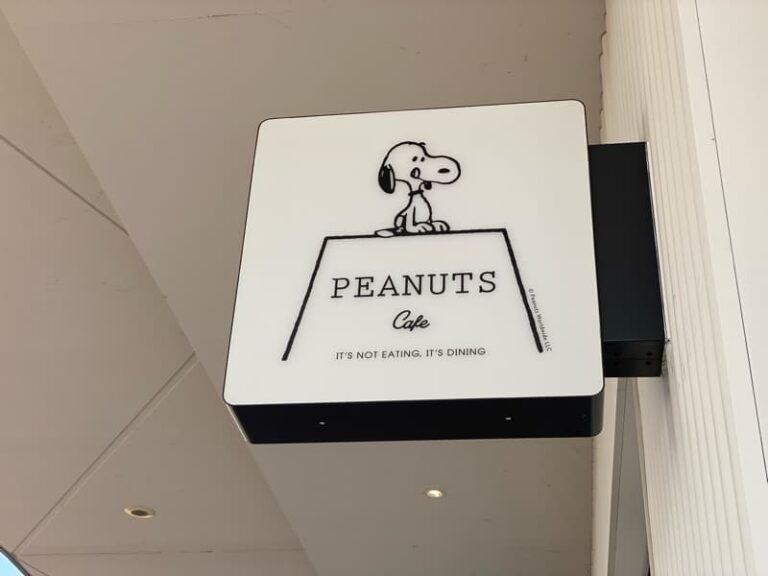 20220430211814b6d 768x576