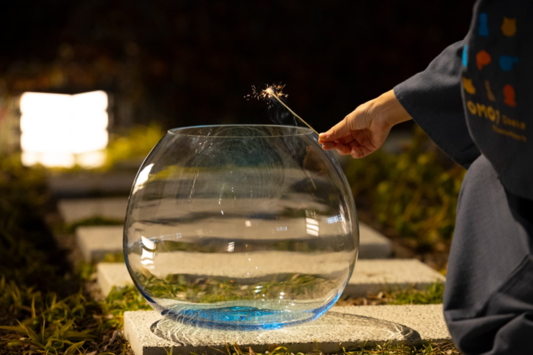 2678ff6195128c11b0e60a1666f4c211 768x512