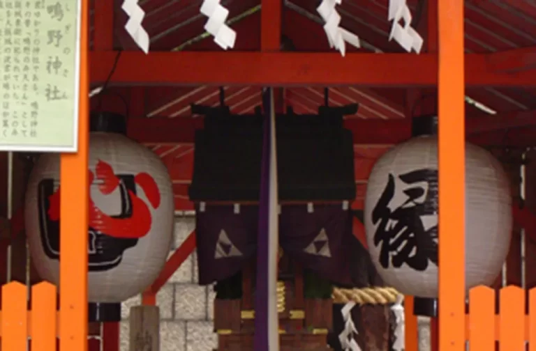 27109ag2132003237 1 1 768x504