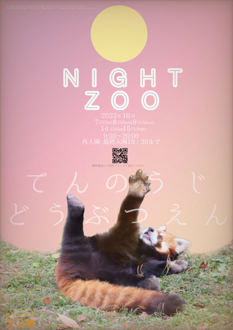 31a27e81e8b2b608cc8b288f4c3fdeb3 768x1086