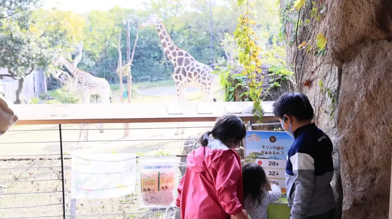 40122 31 64068e855fe6eff8e2455151396dfcd8 1899x1063 1 768x430