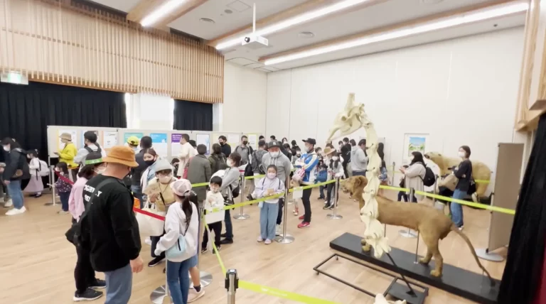 40122 31 88fb451c880576e4e1533a669976d7de 1906x1061 1 768x428