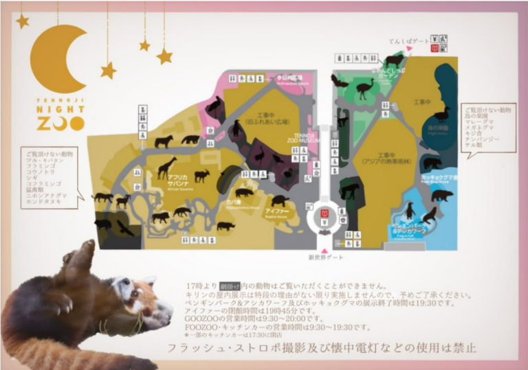 44a3115a5b8570c4459a8ba91cf0a4b3 1 768x539