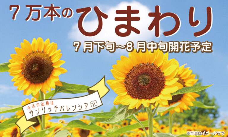 77d95c2ddcbfa41a0c75c60c053f92f9 768x460