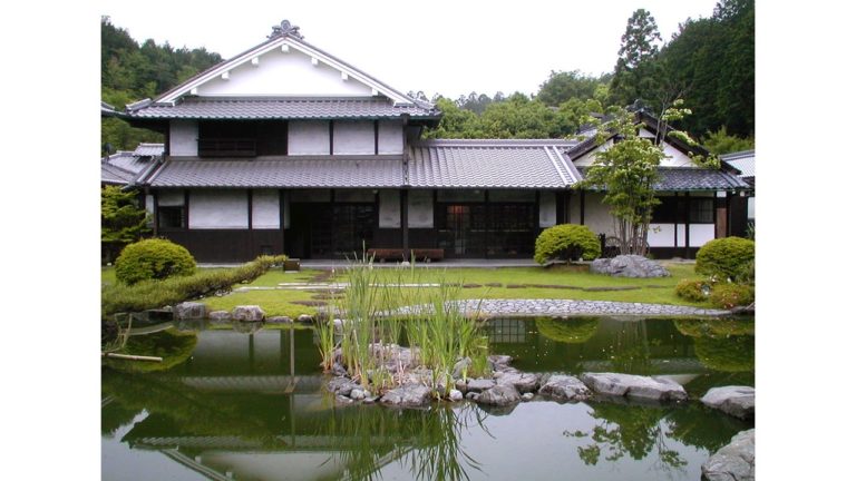 78692eb8438a92f7e11a516981ad7fad 2 768x432