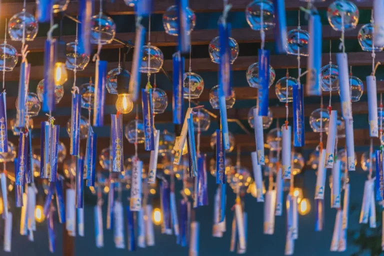 DSC07252 ARW DxO DeepPRIME 768x512