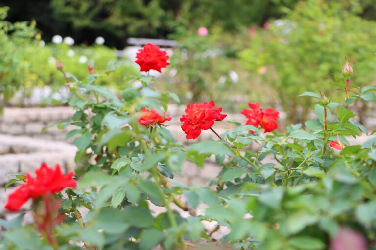 F8X dK7aYAAPA6j 768x512