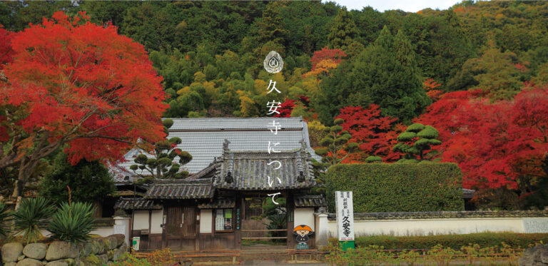 base kyuanji 1 768x373
