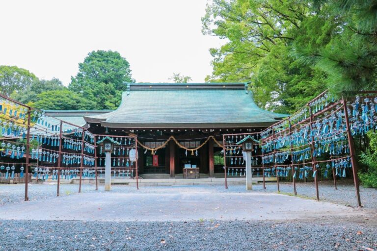 e5075ff840d2cb6cfc730faf241caa53 768x512