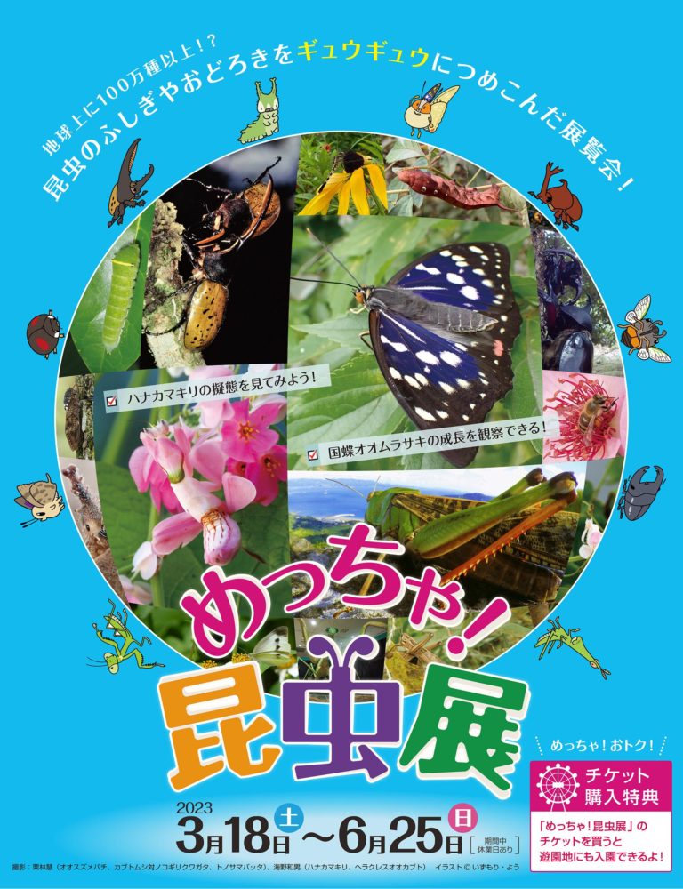 teaser main 768x1000